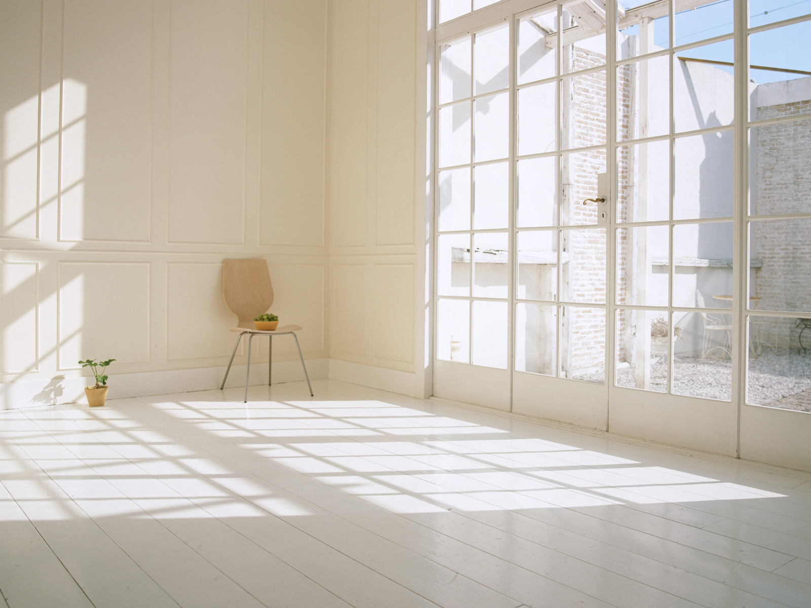 sunlight1.png